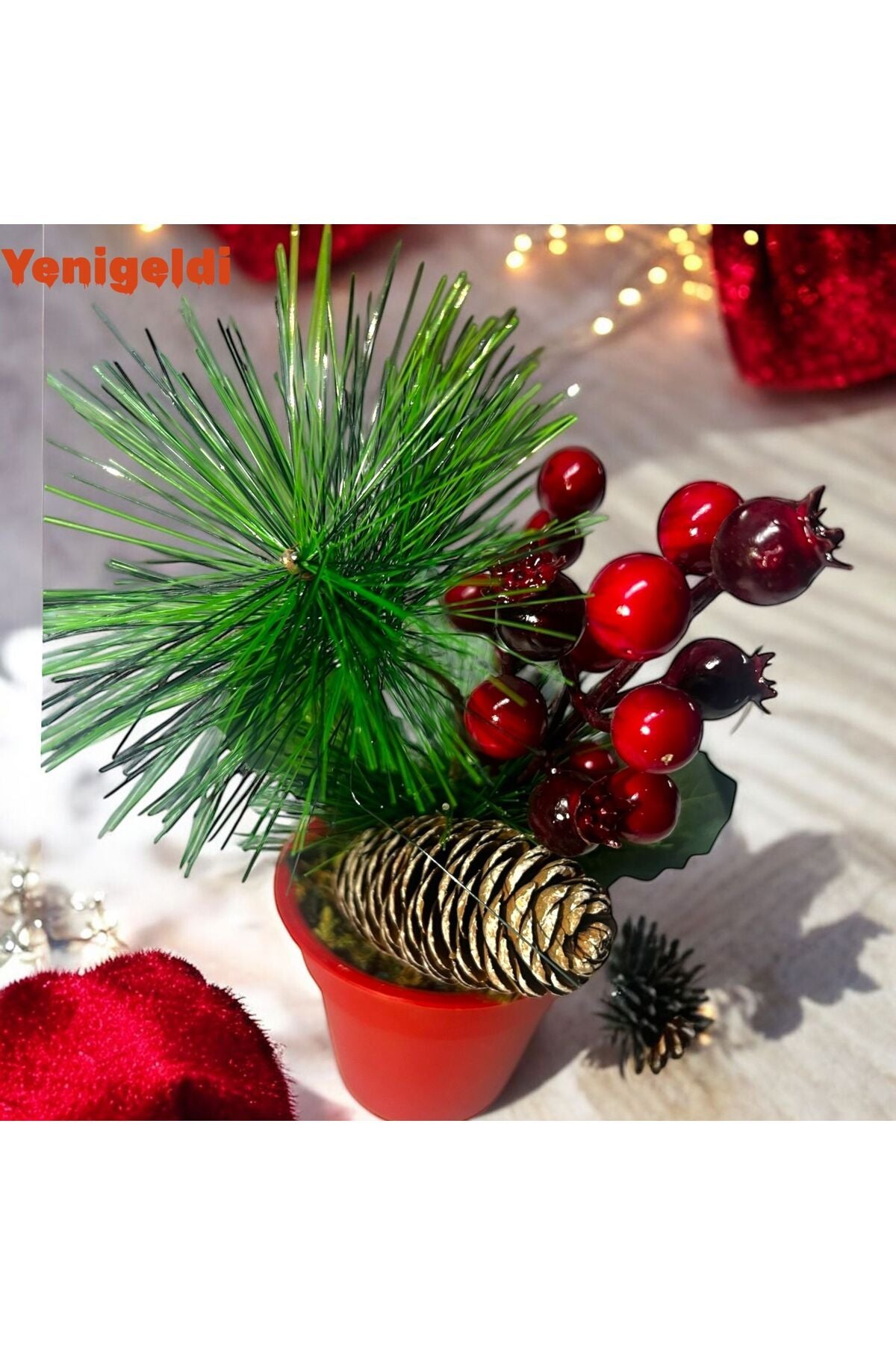 Yenigeldi 4 Adet Kozalaklı Saksılı Kokina Red berry