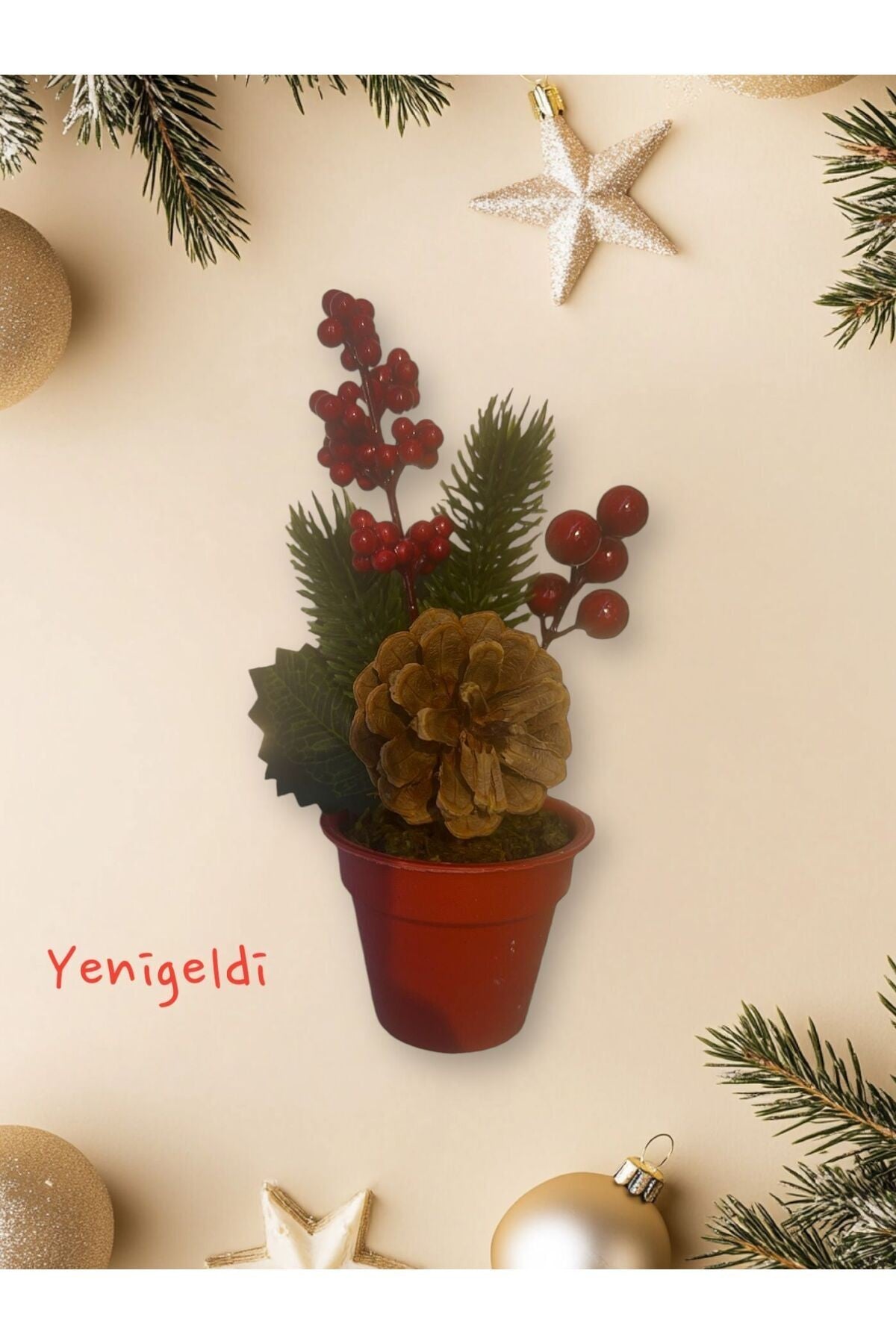 4 Adet 20 Cm Kozalaklı Saksılı Kokina Red berry