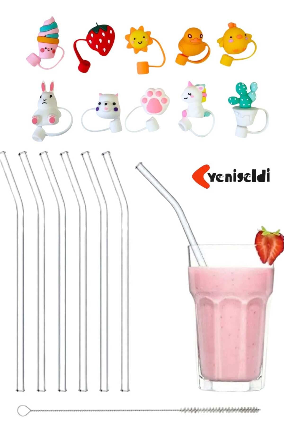 6'lı 9mm. 20cm Boyunda Cam Pipet, 1 Adet Pipet Temizleme Fırçası Ve 1 Adet Pipet Kapağı Seti