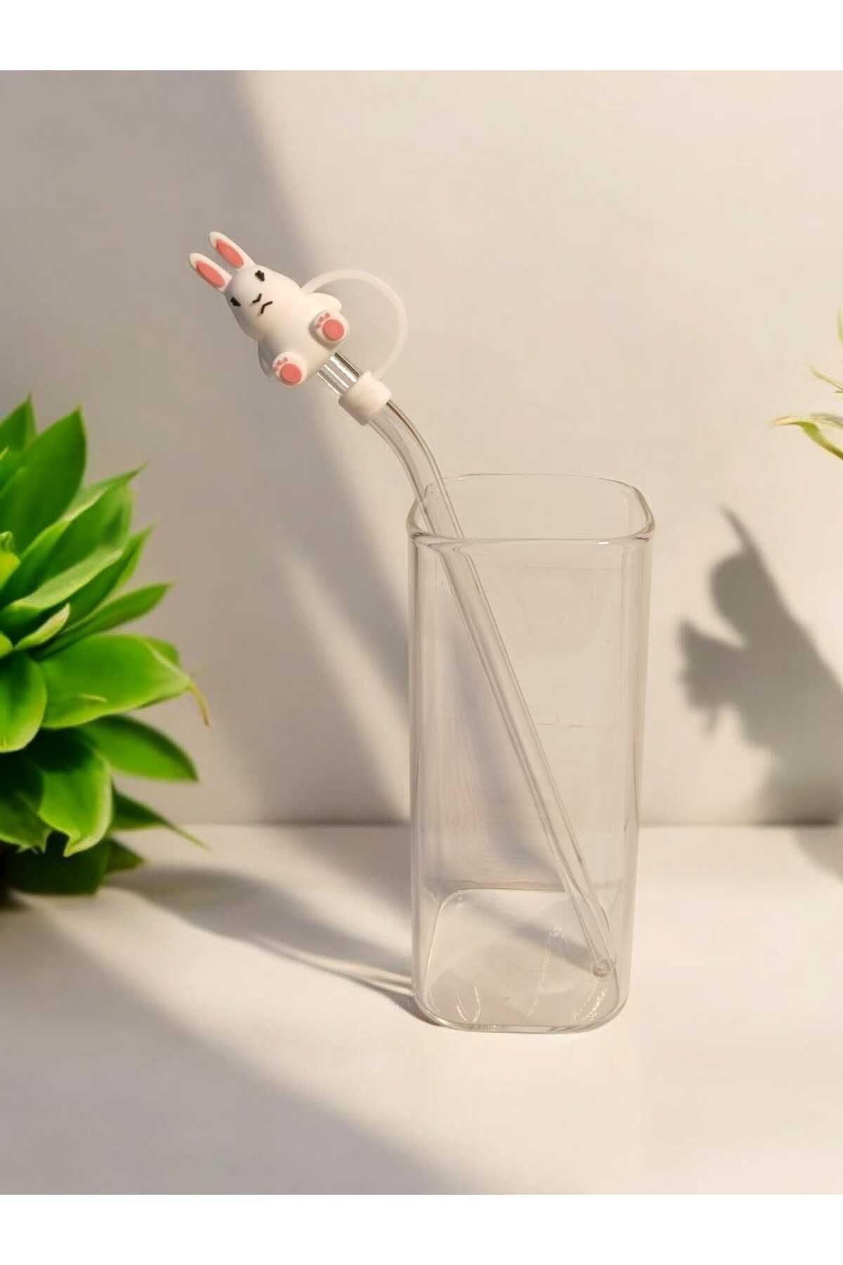Yenigeldi (6MM) Silikon Pipet Başlıklı Pipet Ve Kare Uzun Kokteyl Kahve Bardağı