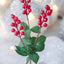 Yenigeldi 4 Adet 65 cm Büyük Boy El Yapımı Uğur Kokina Red Berry Yılbaşı Süsü Süs t1162