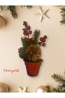 Yenigeldi 2 Adet Kozalaklı Saksılı Kokina Red berry