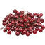 Yenigeldi 4 Demet ( Bir Demeti : 6 Adet ) Mini Uğur Kokina Red Berry Yılbaşı Süsü Dekor Süs T109