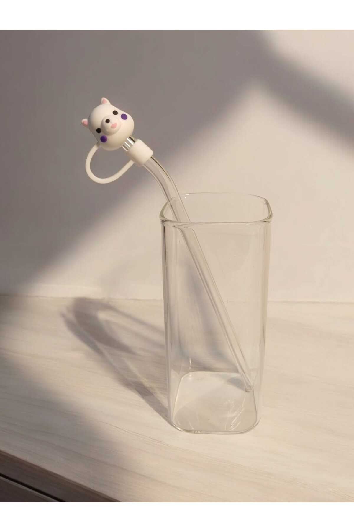 (6MM) Silikon Pipet Başlıklı Pipet Ve Kare Uzun Kokteyl Kahve Bardağı