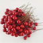 LED Peri Gün Işığı + 24 Adet Mini Uğur Kokina Red Berry Yılbaşı Süsü Gün Işığı