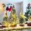 3’lü Çam Ağacı Seti – ( 2 Adet 10 cm, 1 Adet 15 cm) + 12 li 3 cm top + LED Peri Işık+ 15 cm Yıldız