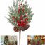 1 Adet 70 cm Kokina Yılbaşı Ağacı Süsü - Şans Çiçeği Red Berry Dalı, TSHV21