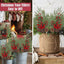 1 Adet 70 cm Kokina Yılbaşı Ağacı Süsü - Şans Çiçeği Red Berry Dalı, TSHV21