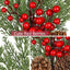1 Adet 70 cm Kokina Yılbaşı Ağacı Süsü - Şans Çiçeği Red Berry Dalı, TSHV21